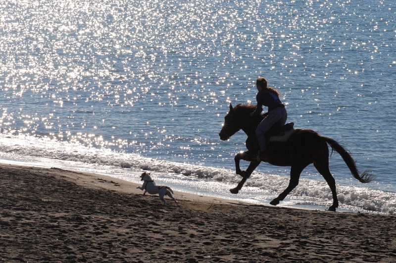 Una corsa in spiaggia